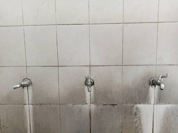 Best Sewage cleanup and water damage restoration  in Eclectic, AL